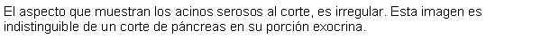 Cuadro de texto: El aspecto que muestran los acinos serosos al corte, es irregular. Esta imagen es indistinguible de un corte de pncreas en su porcin exocrina.