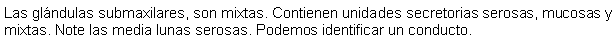 Cuadro de texto: Las glndulas submaxilares, son mixtas. Contienen unidades secretorias serosas, mucosas y mixtas. Note las media lunas serosas. Podemos identificar un conducto.