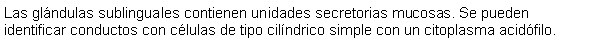 Cuadro de texto: Las glndulas sublinguales contienen unidades secretorias mucosas. Se pueden identificar conductos con clulas de tipo cilndrico simple con un citoplasma acidfilo. 