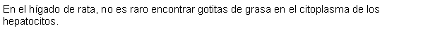 Cuadro de texto: En el hgado de rata, no es raro encontrar gotitas de grasa en el citoplasma de los hepatocitos. 