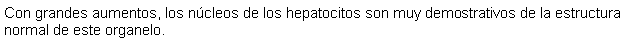 Cuadro de texto: Con grandes aumentos, los ncleos de los hepatocitos son muy demostrativos de la estructura normal de este organelo.