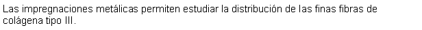 Cuadro de texto: Las impregnaciones metlicas permiten estudiar la distribucin de las finas fibras de colgena tipo III.