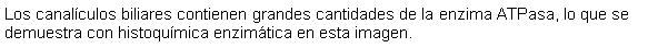 Cuadro de texto: Los canalculos biliares contienen grandes cantidades de la enzima ATPasa, lo que se demuestra con histoqumica enzimtica en esta imagen.