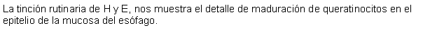 Cuadro de texto: La tincin rutinaria de H y E, nos muestra el detalle de maduracin de queratinocitos en el epitelio de la mucosa del esfago.