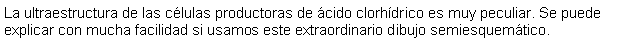 Cuadro de texto: La ultraestructura de las clulas productoras de cido clorhdrico es muy peculiar. Se puede explicar con mucha facilidad si usamos este extraordinario dibujo semiesquemtico.