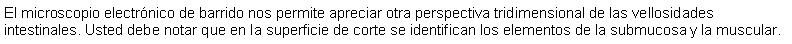 Cuadro de texto: El microscopio electrnico de barrido nos permite apreciar otra perspectiva tridimensional de las vellosidades intestinales. Usted debe notar que en la superficie de corte se identifican los elementos de la submucosa y la muscular.