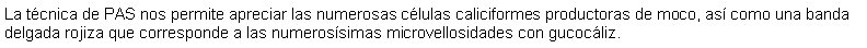 Cuadro de texto: La tcnica de PAS nos permite apreciar las numerosas clulas caliciformes productoras de moco, as como una banda delgada rojiza que corresponde a las numerossimas microvellosidades con gucocliz.