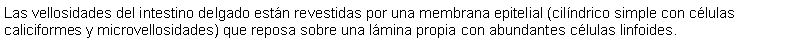 Cuadro de texto: Las vellosidades del intestino delgado estn revestidas por una membrana epitelial (cilndrico simple con clulas caliciformes y microvellosidades) que reposa sobre una lmina propia con abundantes clulas linfoides.