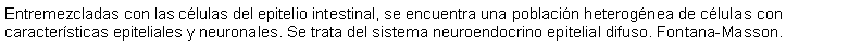 Cuadro de texto: Entremezcladas con las clulas del epitelio intestinal, se encuentra una poblacin heterognea de clulas con caractersticas epiteliales y neuronales. Se trata del sistema neuroendocrino epitelial difuso. Fontana-Masson.