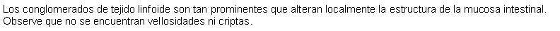 Cuadro de texto: Los conglomerados de tejido linfoide son tan prominentes que alteran localmente la estructura de la mucosa intestinal. Observe que no se encuentran vellosidades ni criptas.