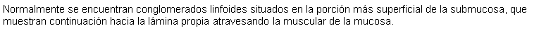 Cuadro de texto: Normalmente se encuentran conglomerados linfoides situados en la porcin ms superficial de la submucosa, que muestran continuacin hacia la lmina propia atravesando la muscular de la mucosa.