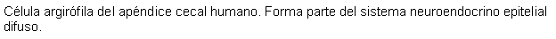Cuadro de texto: Clula argirfila del apndice cecal humano. Forma parte del sistema neuroendocrino epitelial difuso.