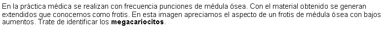 Cuadro de texto: En la prctica mdica se realizan con frecuencia punciones de mdula sea. Con el material obtenido se generan extendidos que conocemos como frotis. En esta imagen apreciamos el aspecto de un frotis de mdula sea con bajos aumentos. Trate de identificar los megacariocitos.