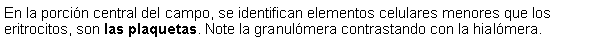 Cuadro de texto: En la porcin central del campo, se identifican elementos celulares menores que los eritrocitos, son las plaquetas. Note la granulmera contrastando con la hialmera.