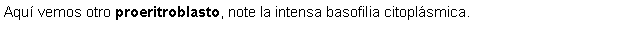 Cuadro de texto: Aquí vemos otro proeritroblasto, note la intensa basofilia citoplásmica.
