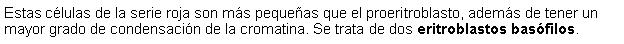 Cuadro de texto: Estas clulas de la serie roja son ms pequeas que el proeritroblasto, adems de tener un mayor grado de condensacin de la cromatina. Se trata de dos eritroblastos basfilos.