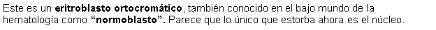 Cuadro de texto: Este es un eritroblasto ortocromtico, tambin conocido en el bajo mundo de la hematologa como normoblasto. Parece que lo nico que estorba ahora es el ncleo.