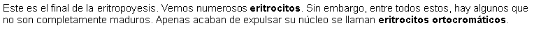 Cuadro de texto: Este es el final de la eritropoyesis. Vemos numerosos eritrocitos. Sin embargo, entre todos estos, hay algunos que no son completamente maduros. Apenas acaban de expulsar su ncleo se llaman eritrocitos ortocromticos.