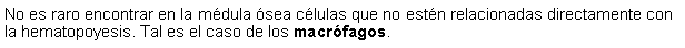 Cuadro de texto: No es raro encontrar en la mdula sea clulas que no estn relacionadas directamente con la hematopoyesis. Tal es el caso de los macrfagos.  