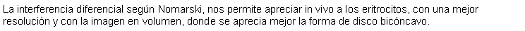 Cuadro de texto: La interferencia diferencial segn Nomarski, nos permite apreciar in vivo a los eritrocitos, con una mejor resolucin y con la imagen en volumen, donde se aprecia mejor la forma de disco bicncavo.