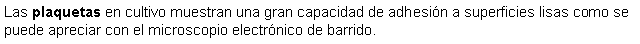 Cuadro de texto: Las plaquetas en cultivo muestran una gran capacidad de adhesin a superficies lisas como se puede apreciar con el microscopio electrnico de barrido. 