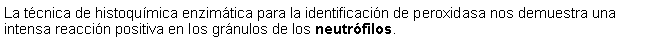 Cuadro de texto: La tcnica de histoqumica enzimtica para la identificacin de peroxidasa nos demuestra una intensa reaccin positiva en los grnulos de los neutrfilos. 