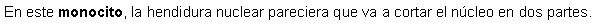 Cuadro de texto: En este monocito, la hendidura nuclear pareciera que va a cortar el ncleo en dos partes.