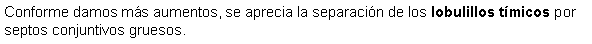 Cuadro de texto: Conforme damos ms aumentos, se aprecia la separacin de los lobulillos tmicos por septos conjuntivos gruesos. 