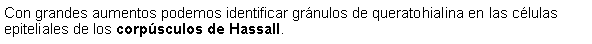 Cuadro de texto: Con grandes aumentos podemos identificar grnulos de queratohialina en las clulas epiteliales de los corpsculos de Hassall. 