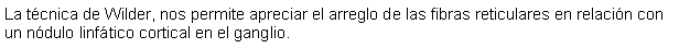 Cuadro de texto: La tcnica de Wilder, nos permite apreciar el arreglo de las fibras reticulares en relacin con un ndulo linftico cortical en el ganglio.