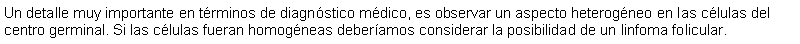 Cuadro de texto: Un detalle muy importante en trminos de diagnstico mdico, es observar un aspecto heterogneo en las clulas del centro germinal. Si las clulas fueran homogneas deberamos considerar la posibilidad de un linfoma folicular.