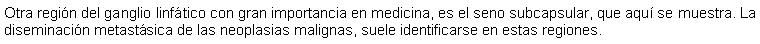 Cuadro de texto: Otra regin del ganglio linftico con gran importancia en medicina, es el seno subcapsular, que aqu se muestra. La diseminacin metastsica de las neoplasias malignas, suele identificarse en estas regiones.