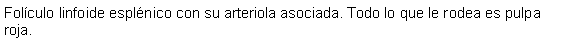 Cuadro de texto: Folculo linfoide esplnico con su arteriola asociada. Todo lo que le rodea es pulpa roja. 