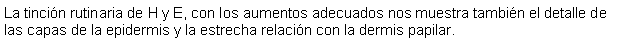 Cuadro de texto: La tincin rutinaria de H y E, con los aumentos adecuados nos muestra tambin el detalle de las capas de la epidermis y la estrecha relacin con la dermis papilar.