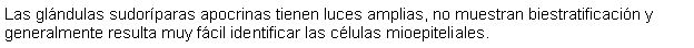 Cuadro de texto: Las glndulas sudorparas apocrinas tienen luces amplias, no muestran biestratificacin y generalmente resulta muy fcil identificar las clulas mioepiteliales.