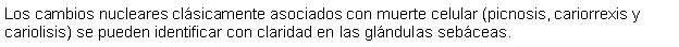 Cuadro de texto: Los cambios nucleares clsicamente asociados con muerte celular (picnosis, cariorrexis y cariolisis) se pueden identificar con claridad en las glndulas sebceas.