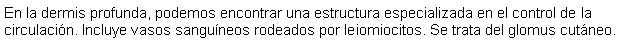 Cuadro de texto: En la dermis profunda, podemos encontrar una estructura especializada en el control de la circulacin. Incluye vasos sanguneos rodeados por leiomiocitos. Se trata del glomus cutneo.