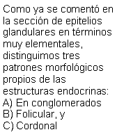 Cuadro de texto: Como ya se coment en la seccin de epitelios glandulares en trminos muy elementales, distinguimos tres patrones morfolgicos propios de las estructuras endocrinas:En conglomeradosFolicular, yCordonal