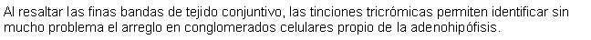 Cuadro de texto: Al resaltar las finas bandas de tejido conjuntivo, las tinciones tricrmicas permiten identificar sin mucho problema el arreglo en conglomerados celulares propio de la adenohipfisis.