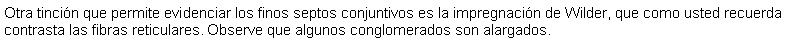 Cuadro de texto: Otra tincin que permite evidenciar los finos septos conjuntivos es la impregnacin de Wilder, que como usted recuerda contrasta las fibras reticulares. Observe que algunos conglomerados son alargados.