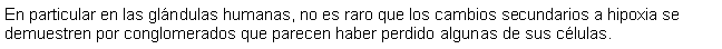 Cuadro de texto: En particular en las glndulas humanas, no es raro que los cambios secundarios a hipoxia se demuestren por conglomerados que parecen haber perdido algunas de sus clulas.