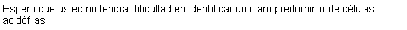 Cuadro de texto: Espero que usted no tendr dificultad en identificar un claro predominio de clulas acidfilas.