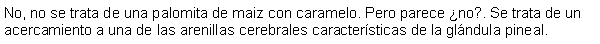 Cuadro de texto: No, no se trata de una palomita de maiz con caramelo. Pero parece no?. Se trata de un acercamiento a una de las arenillas cerebrales caractersticas de la glndula pineal.