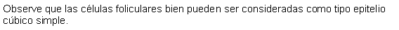 Cuadro de texto: Observe que las clulas foliculares bien pueden ser consideradas como tipo epitelio cbico simple.