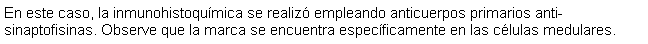 Cuadro de texto: En este caso, la inmunohistoqumica se realiz empleando anticuerpos primarios anti-sinaptofisinas. Observe que la marca se encuentra especficamente en las clulas medulares.