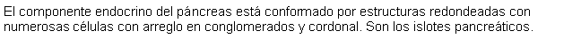 Cuadro de texto: El componente endocrino del pncreas est conformado por estructuras redondeadas con numerosas clulas con arreglo en conglomerados y cordonal. Son los islotes pancreticos.