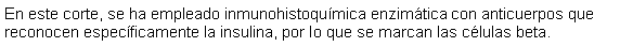 Cuadro de texto: En este corte, se ha empleado inmunohistoqumica enzimtica con anticuerpos que reconocen especficamente la insulina, por lo que se marcan las clulas beta.