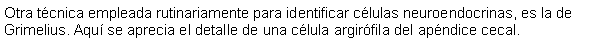 Cuadro de texto: Otra tcnica empleada rutinariamente para identificar clulas neuroendocrinas, es la de Grimelius. Aqu se aprecia el detalle de una clula argirfila del apndice cecal.