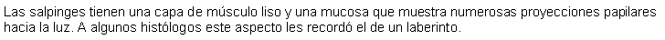 Cuadro de texto: Las salpinges tienen una capa de msculo liso y una mucosa que muestra numerosas proyecciones papilares hacia la luz. A algunos histlogos este aspecto les record el de un laberinto.