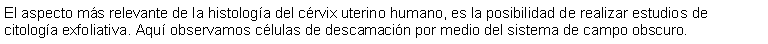 Cuadro de texto: El aspecto ms relevante de la histologa del crvix uterino humano, es la posibilidad de realizar estudios de citologa exfoliativa. Aqu observamos clulas de descamacin por medio del sistema de campo obscuro.